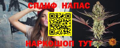 ешки Будённовск