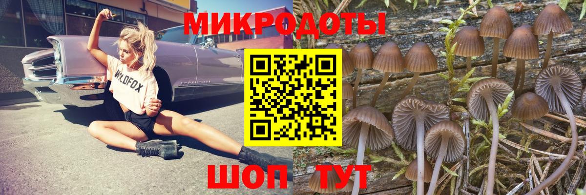 Москва  Галлюциногенные грибы GOLDEN TEACHER  Вход с VPN 